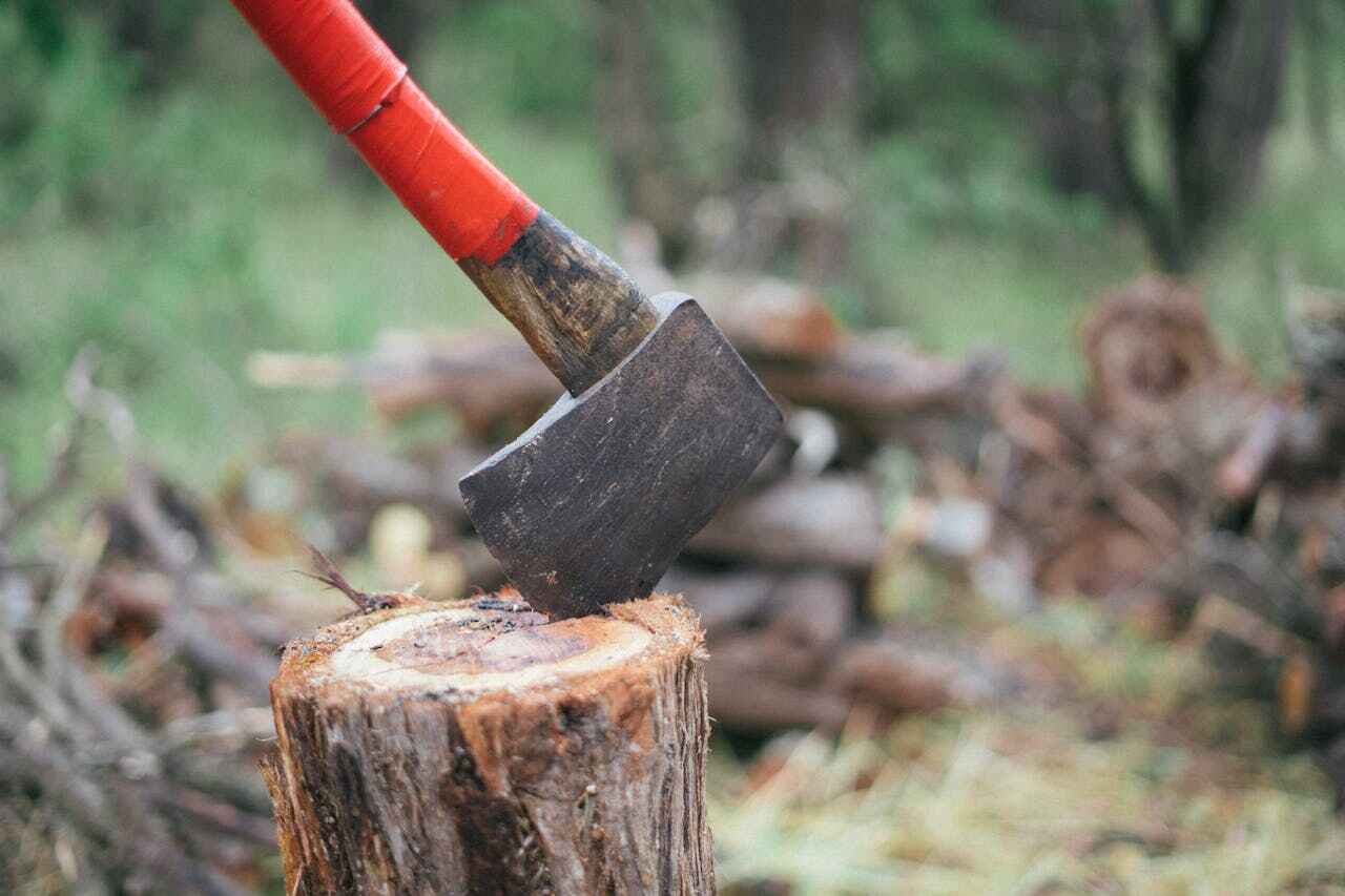 Best Stump Grinding Near Me  in Wolf Lake, MI